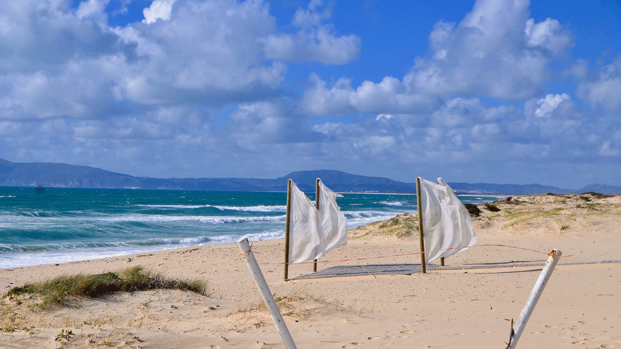 White flags on Comporta beach