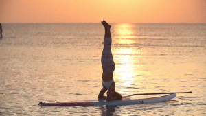 Paddleboarding at sunset