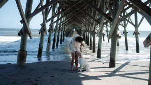 Charleston Beach