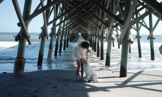 Charleston Beach