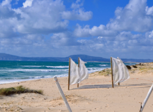 White flags on Comporta beach